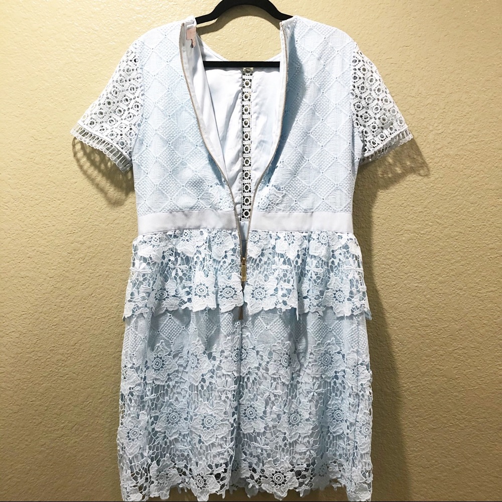 Ted Baker Dixa Layered Lace Skater Dress - Picture 9 of 15